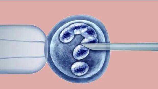 北京私立供卵机构排名 22022北京供卵试管5强榜单 ‘B超胎囊怎么看男女’